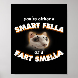 Póster Eres Un Tipo Inteligente O Un Hedor De Pedo Gato M