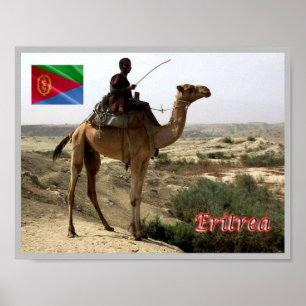 Póster Eritrea - Camello -