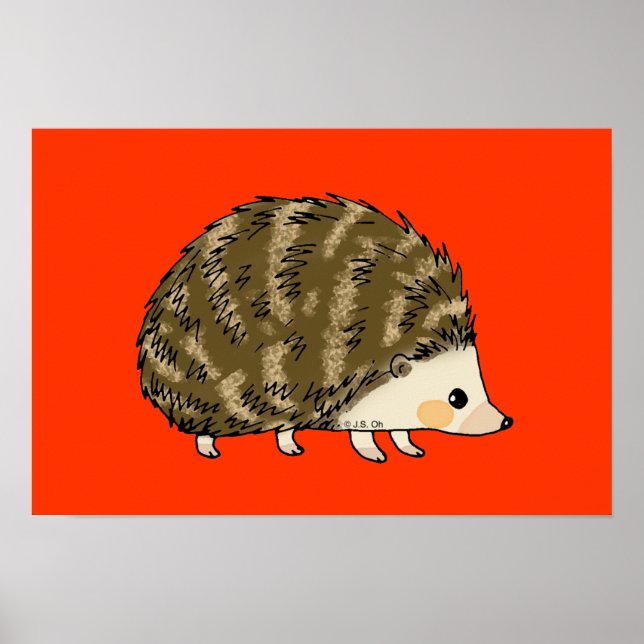 Póster Erizo lindo (Frente)