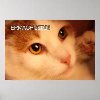 Póster Ermahgerd Cute Orange Cat Poster