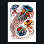 Póster Ernst Haeckel Jellyfish<br><div class="desc">Ernst Haeckel Jellyfish</div>