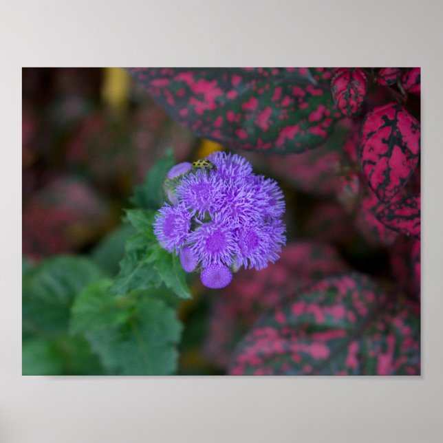 Póster Error secreto en una planta secreta (Frente)