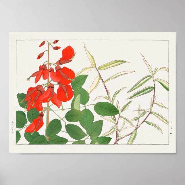 Póster Erythrina, pánico por Tanigami Konan (Frente)