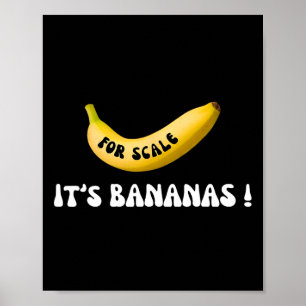 Póster Es banana para la caridad de Trump Banana