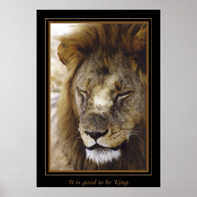 Póster "Es bueno ser Rey". (Frente)