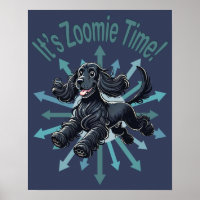 Es hora de Zoomie Cocker Spaniel