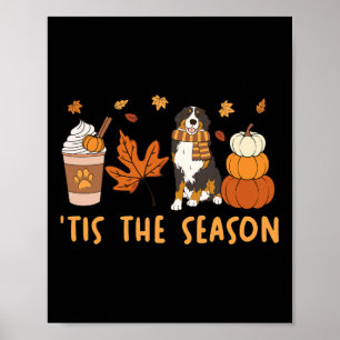 Póster Es La Temporada Bernese Mountain Dog Otoño Calabaz