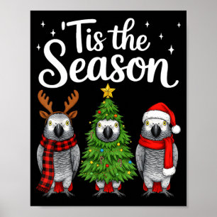 Póster Es La Temporada Loro G Africano Navidad Santa