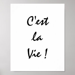 Póster ¡Es La Vie!