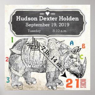 Póster ¡Es un chico! Recién nacido Rhinoceros