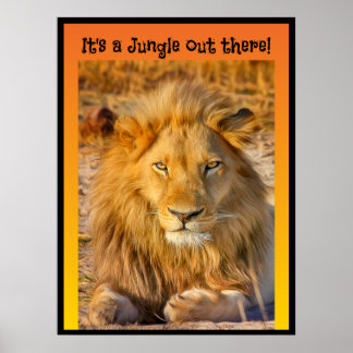 Póster ¡Es una jungla!