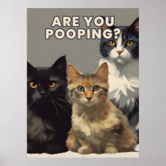 Póster ¿es usted un poster del gato pooping?