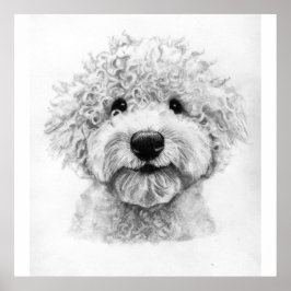 Póster Esbozo adorable de perros con pelo rizado, lagotto