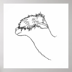 Póster Esbozo alpaca.
