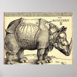 Póster Esbozo de Albrecht Durer