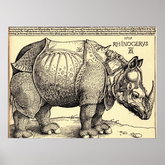 Póster Esbozo de Albrecht Durer (Frente)