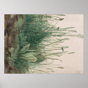 Póster Esbozo de Albrecht Durer