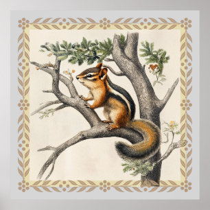 Póster Esbozo de Chipmunk vintage para los amantes de la 