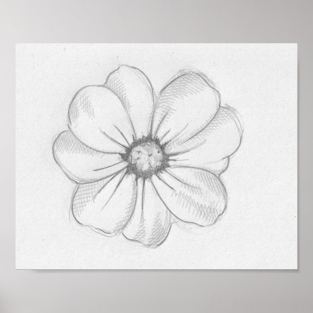 Póster Esbozo de flor (Frente)
