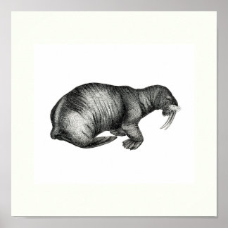 Póster Esbozo de imagen de diseño de dibujo de las parede