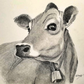 Póster Esbozo de Jersey Cow