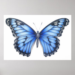 Póster Esbozo de mariposa