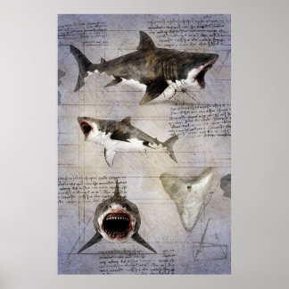 Póster Esbozo de Megalodon