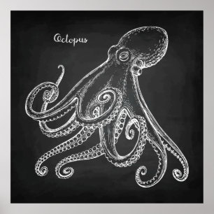 Póster Esbozo de Octopus