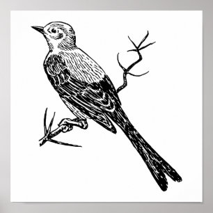 Póster Esbozo de pájaro Realista de Scissortail