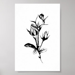 Póster Esbozo de tinta del Poster de Rosas