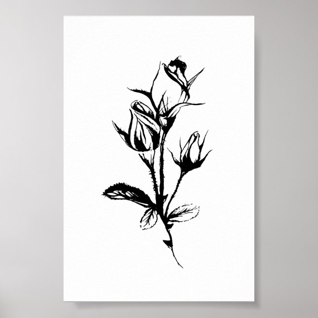 Póster Esbozo de tinta del Poster de Rosas (Frente)