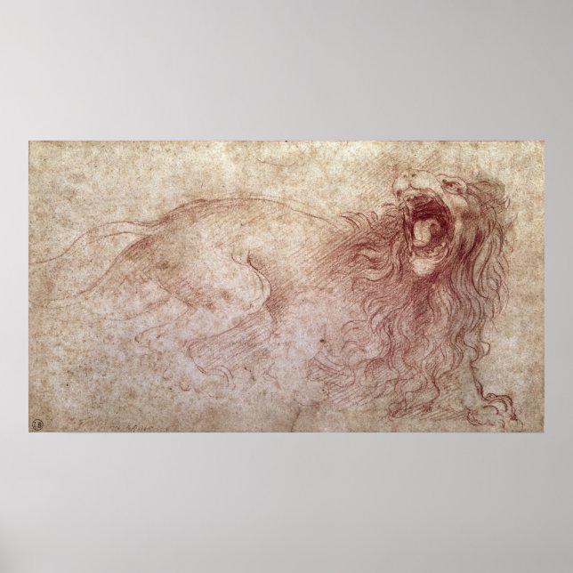 Póster Esbozo de un rugido león (Frente)