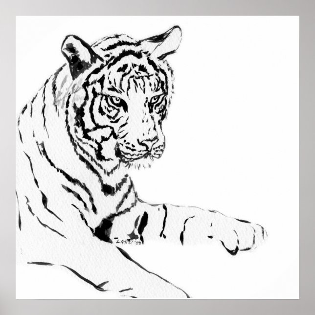 Póster Esbozo del tigre blanco y negro (Frente)