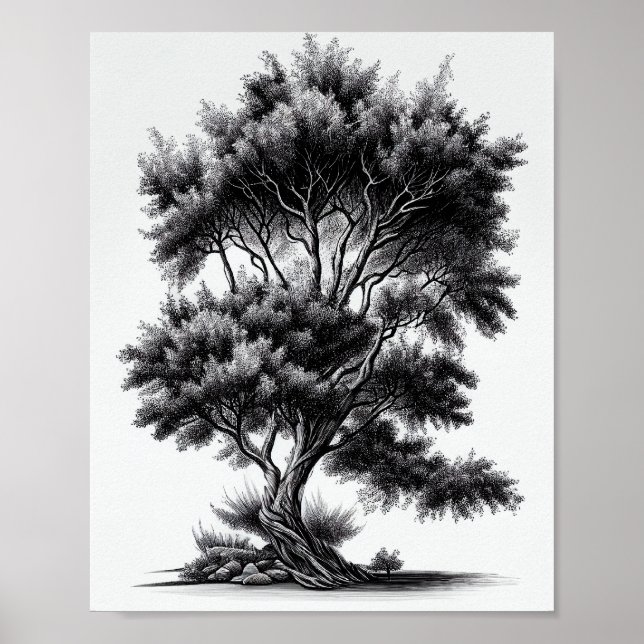 Póster Esbozo detallado de árbol blanco y negro (Frente)