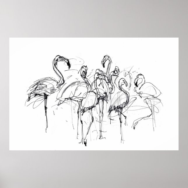 Póster Esbozo elegante de rebaño Flamingo - Premium (Frente)