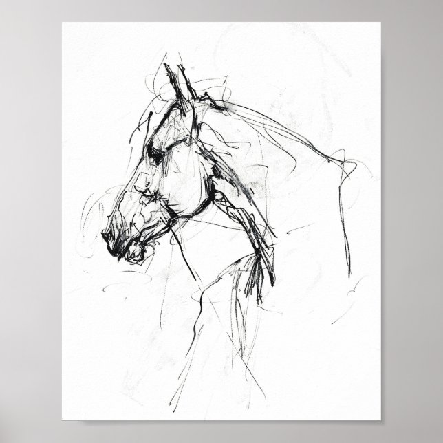 Póster Esbozo elegante de retrato de caballo - Premium (Frente)