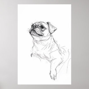 Póster Esbozo elegante de retrato Pug - Premium
