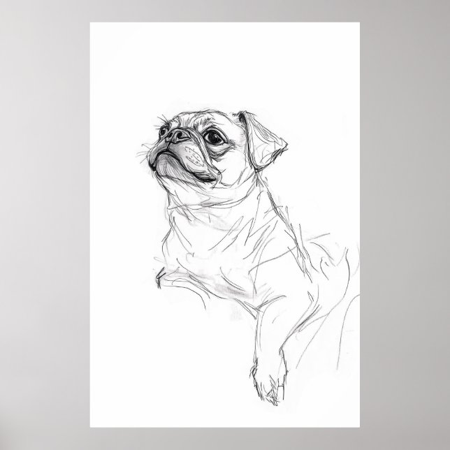 Póster Esbozo elegante de retrato Pug - Premium (Frente)