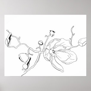 Póster Esbozo minimalista de una sola Magnolia Bloom