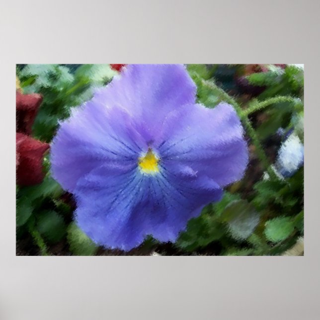 Póster Esbozo suave de Blue Pansy (Frente)
