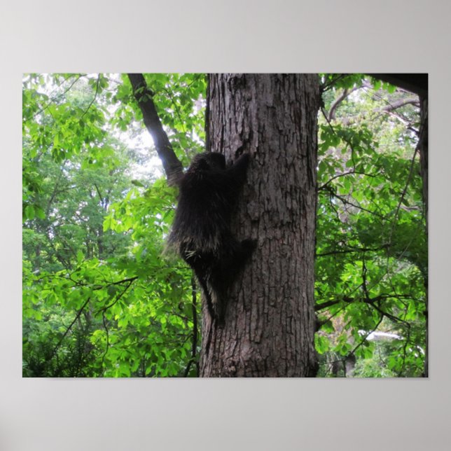 Póster Escalando alto (Frente)