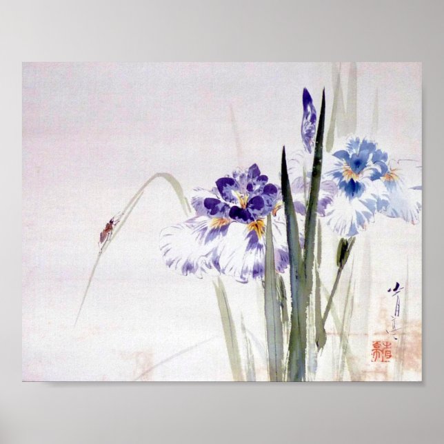 Póster Escalando escarabajo en la hoja de iris, Watanabe  (Frente)