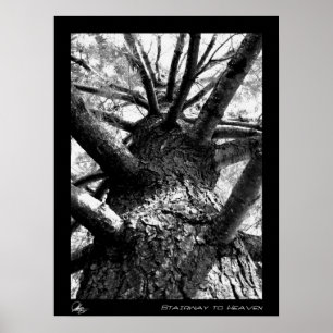 Póster Escalera al cielo