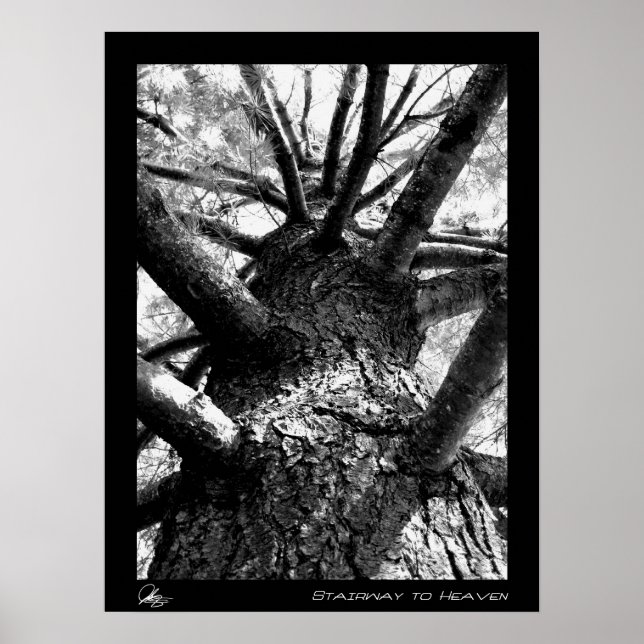 Póster Escalera al cielo (Frente)