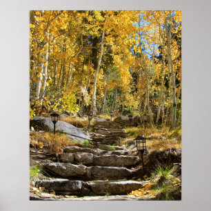 Póster "Escalera al otoño", temblor Aspen, retrato
