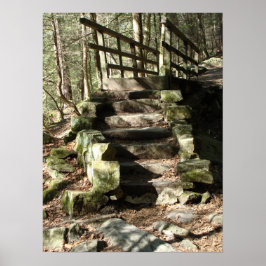 Póster Escalera de bosques