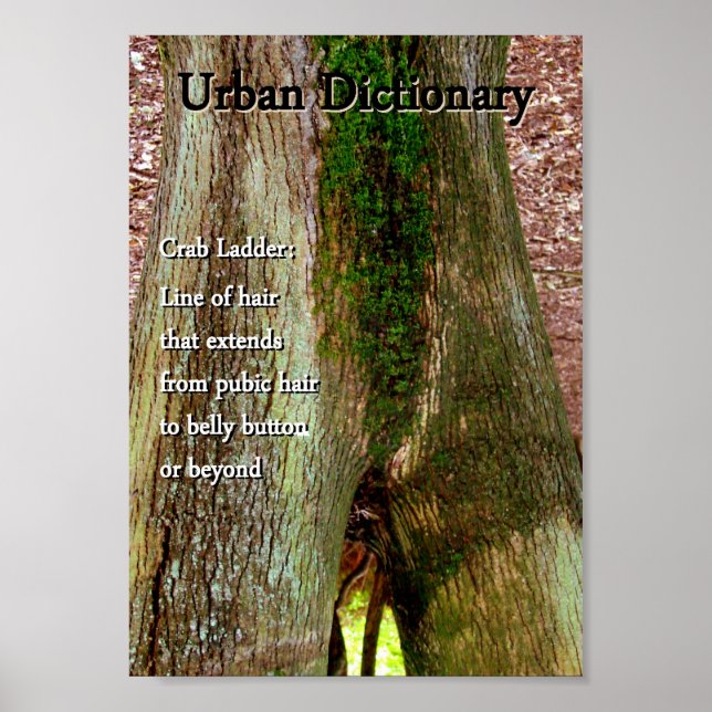 Póster Escalera de cangrejo (Frente)