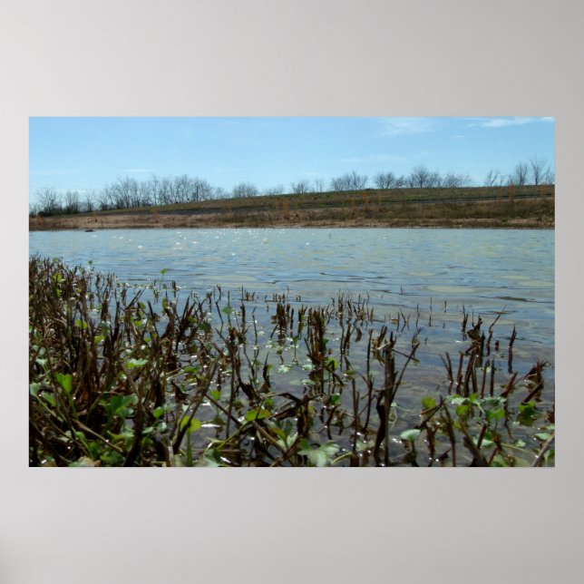 Póster Escapar de pantanos (Frente)