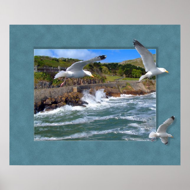 Póster Escape de gaviota (Frente)