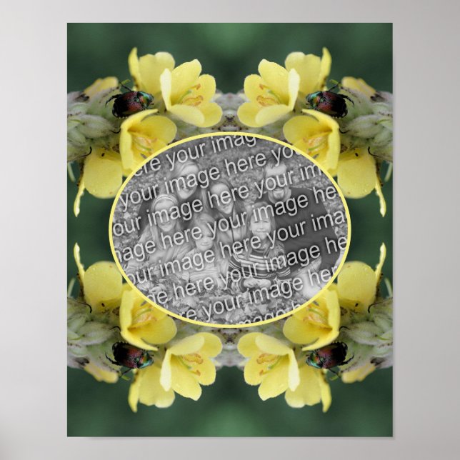 Póster Escarabajo En Flor Silvestre Mullein Añade Tu Foto (Frente)